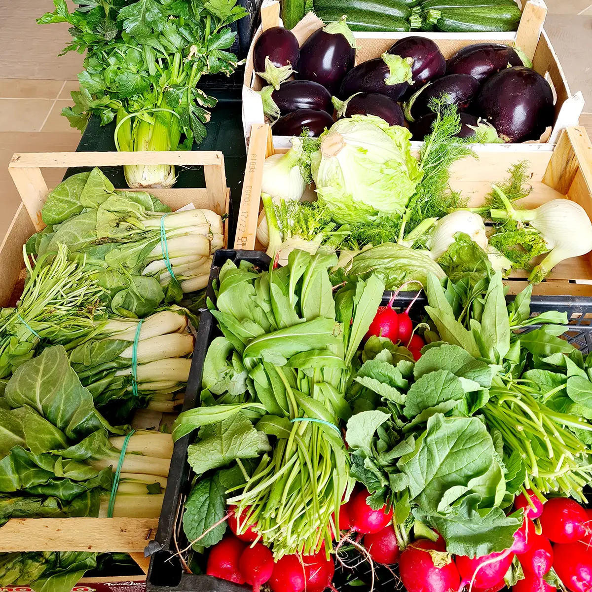 Boerderijwinkel Masseria Monte