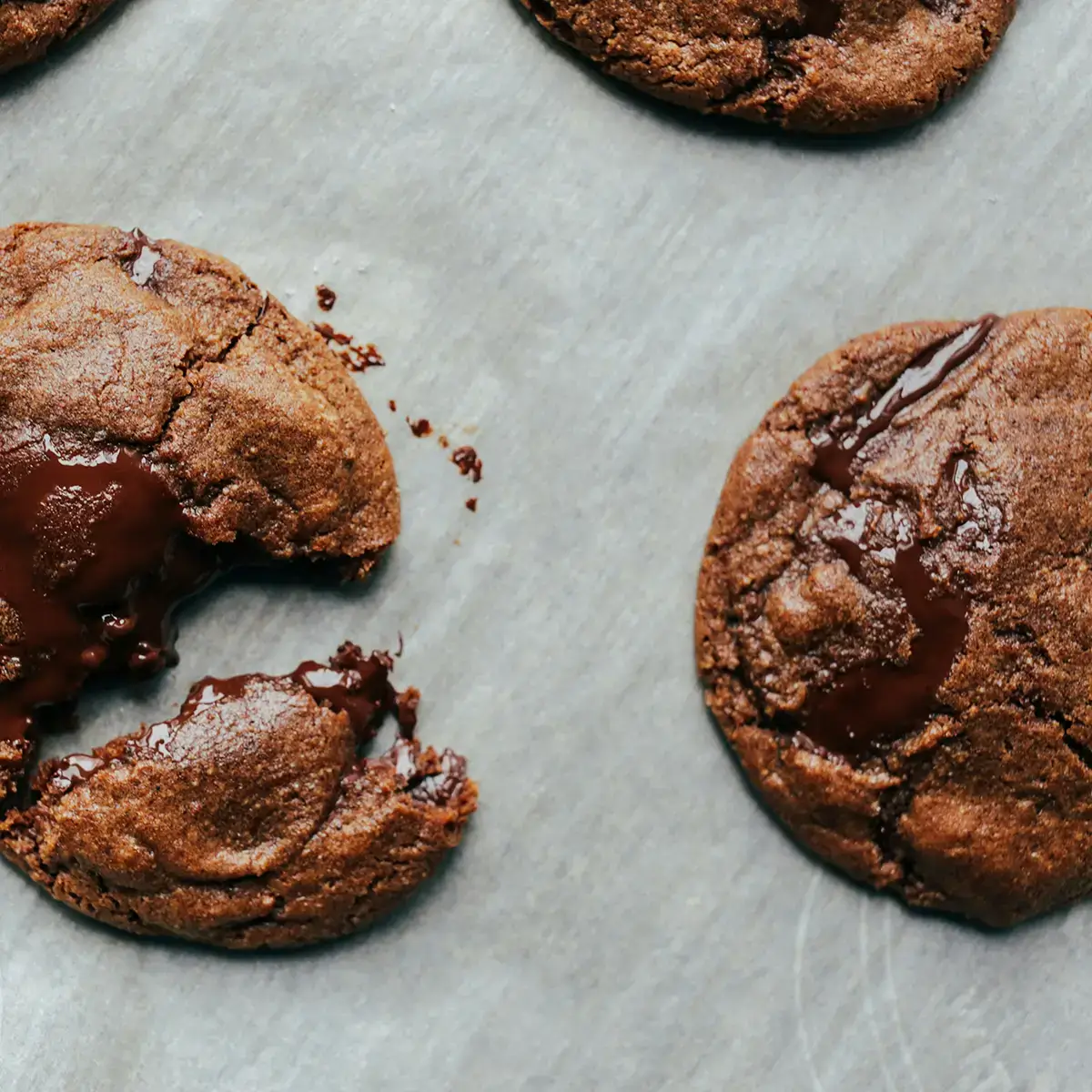 Chocolate cookie Chocolate cookie
