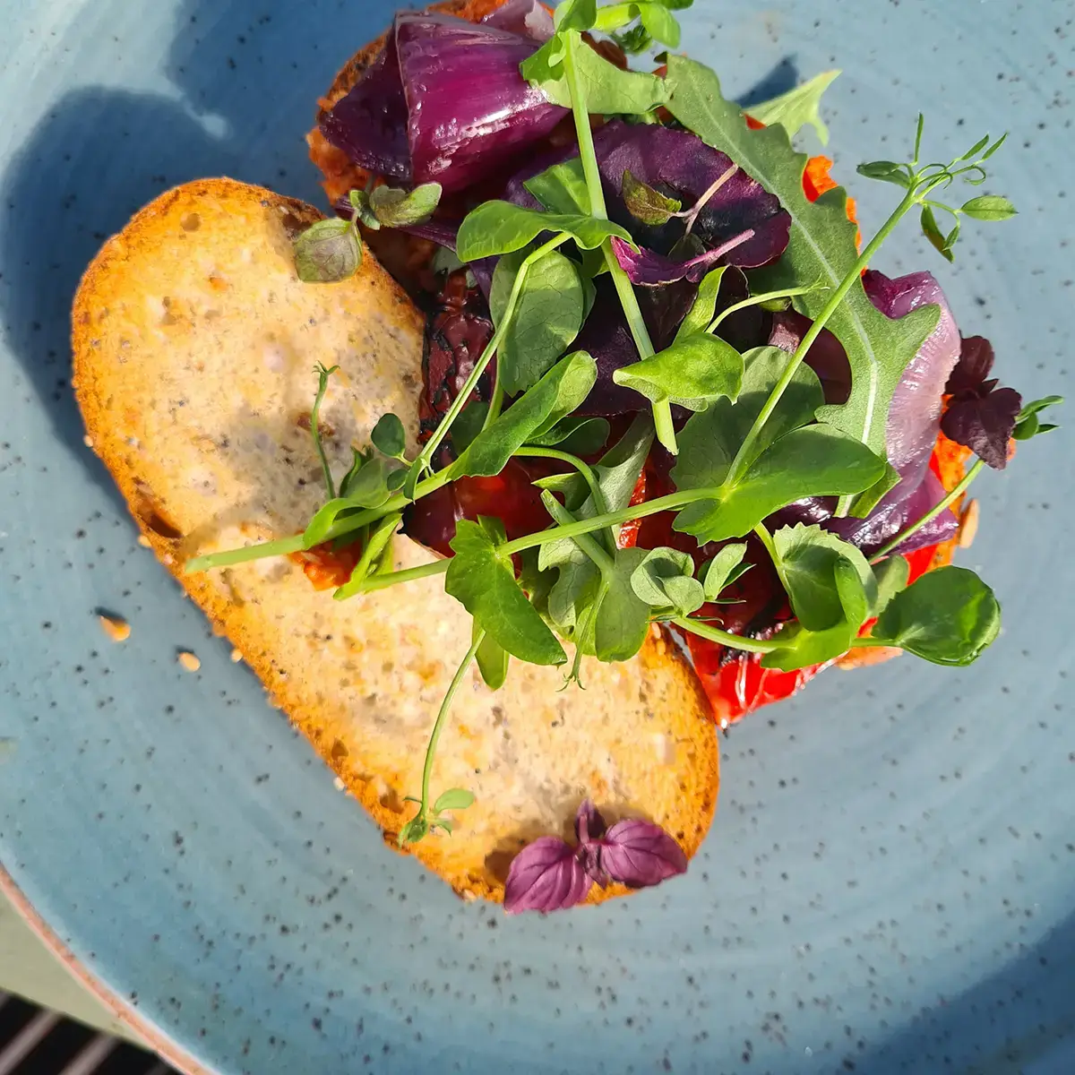 De Dakkas in Haarlem lunch op terras