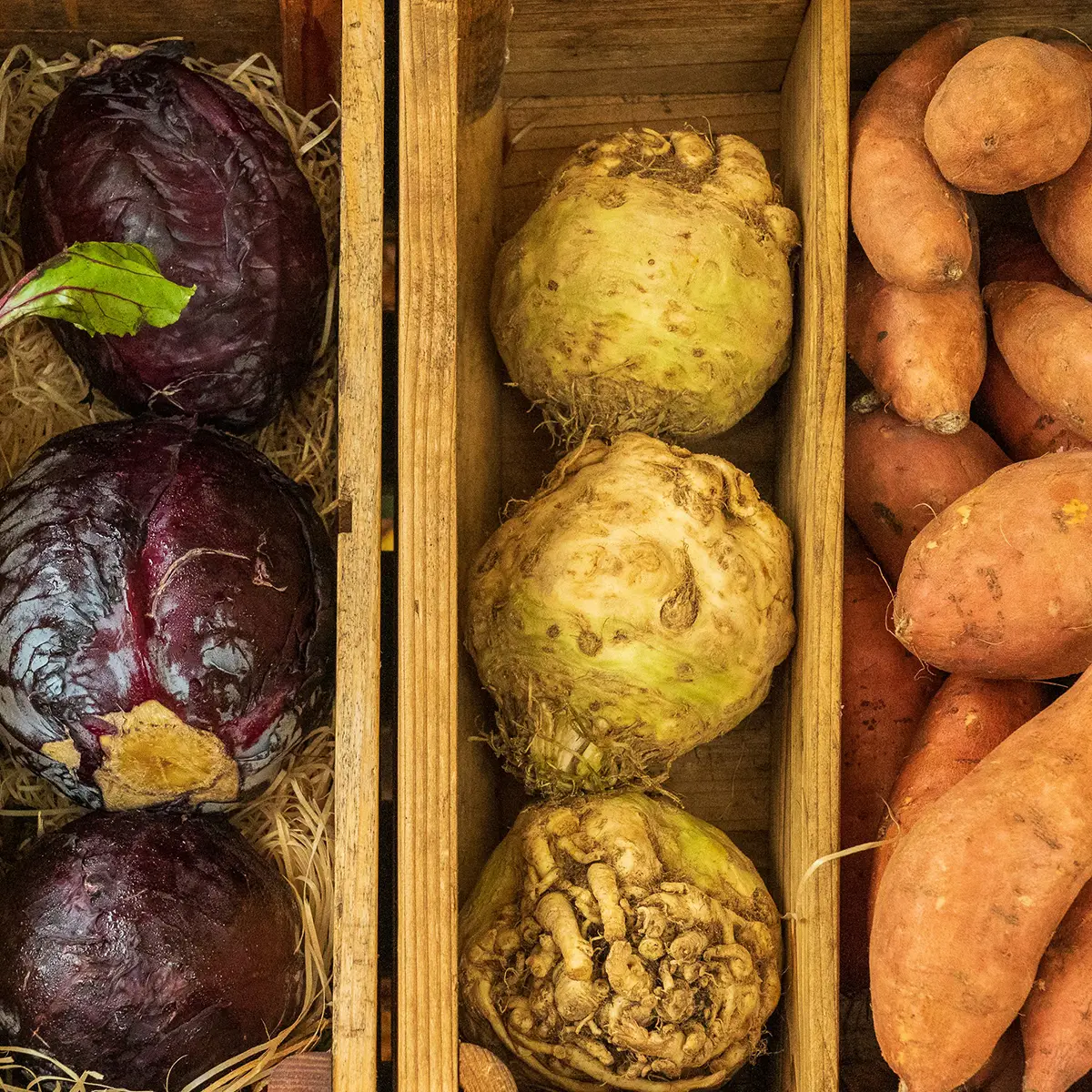 Eet je warm tips en trucs