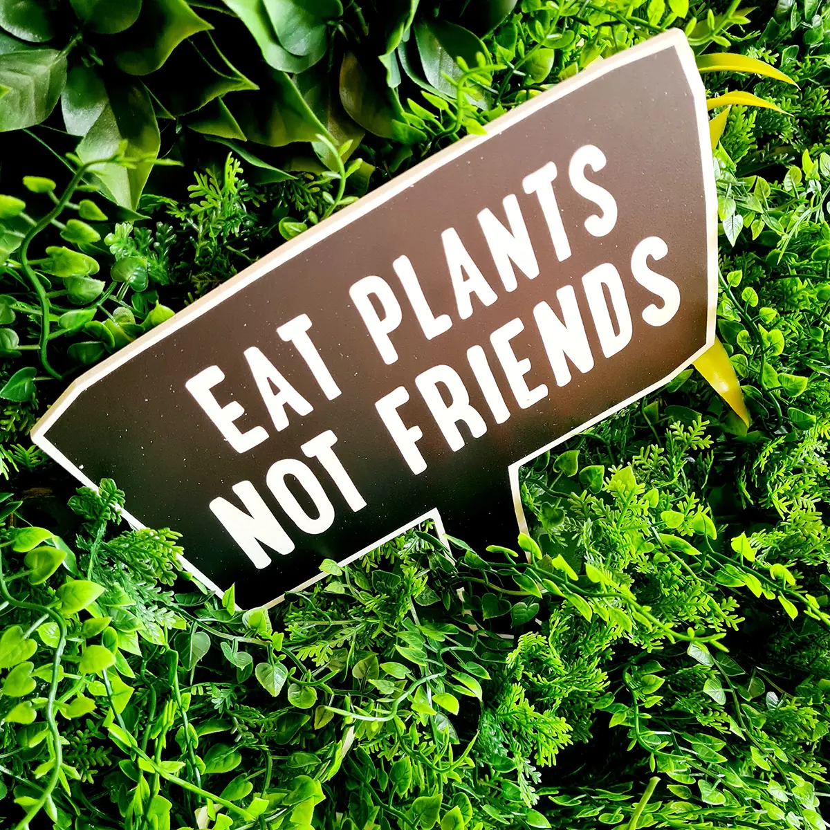 Rootzz nature jackfruit vegan